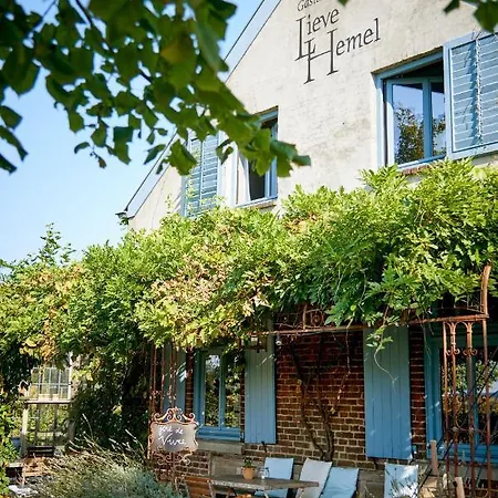 Gasterie Lieve Hemel Oda ve Kahvaltı 4*